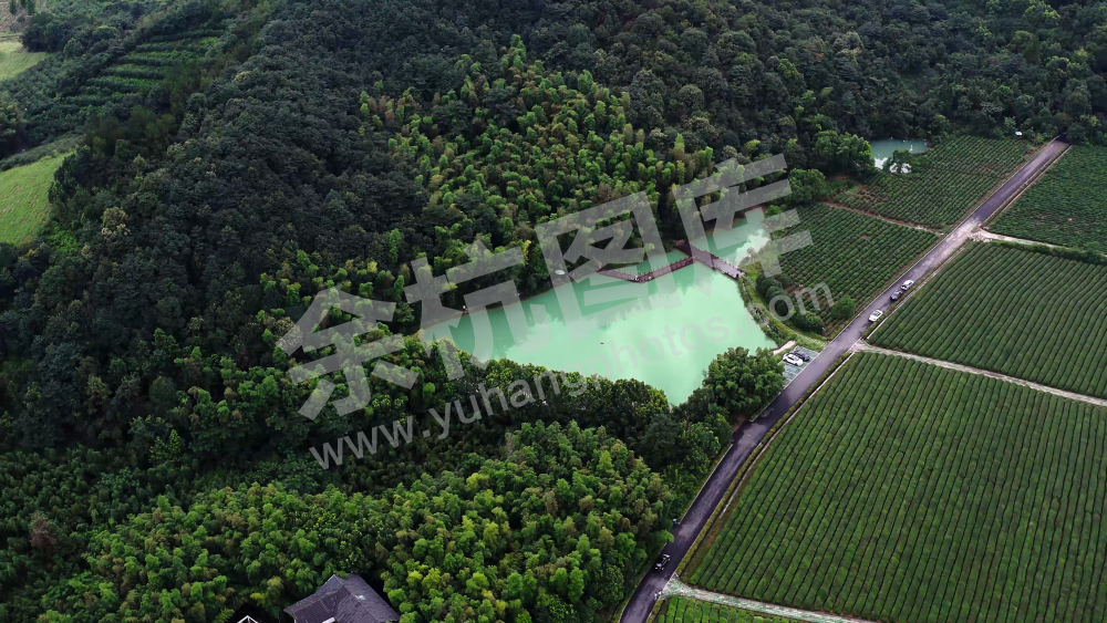 竹茶园