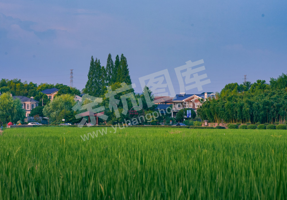 钱三组