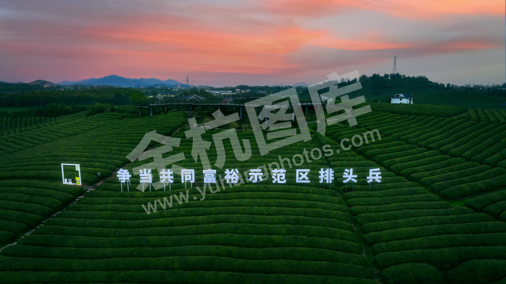 小古城共同富裕茶山