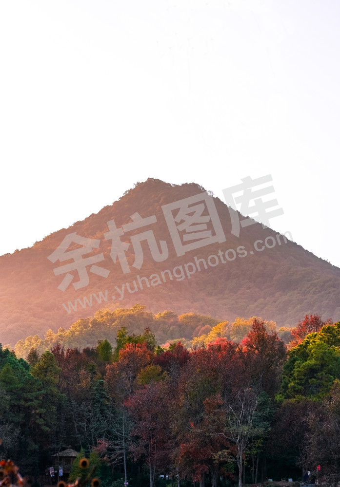 长乐村