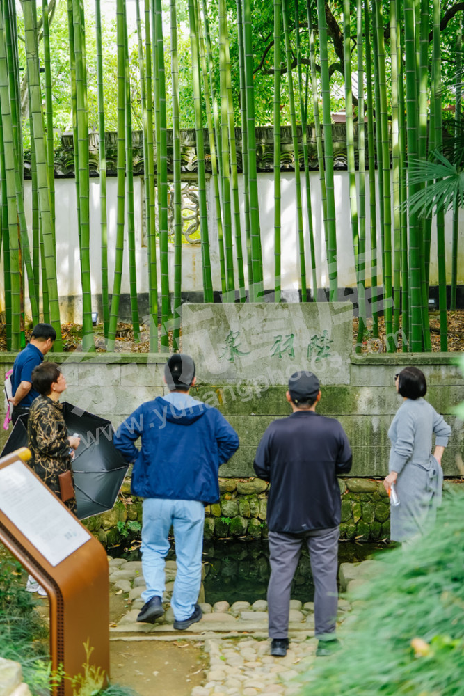 陆羽泉