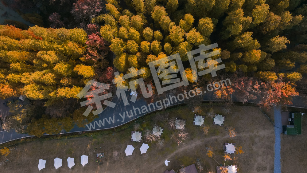 长乐林场