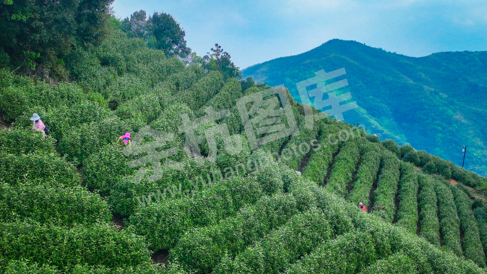 径山