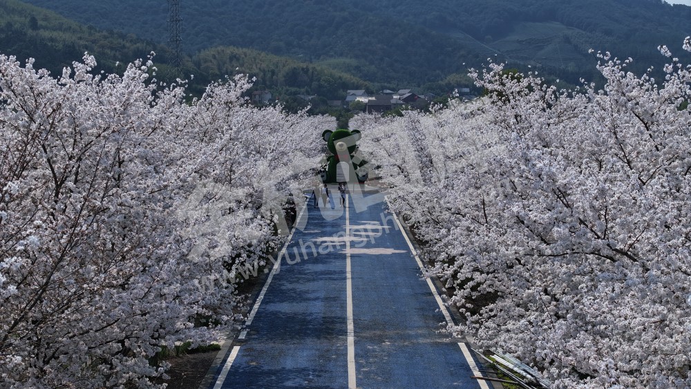 径山