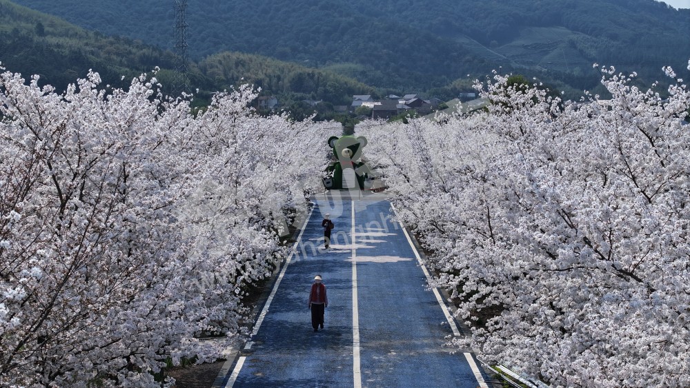 径山