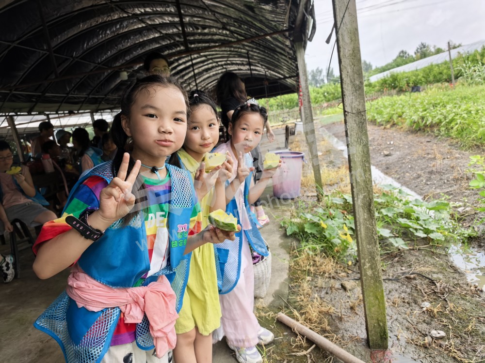 仁和街道暑托班