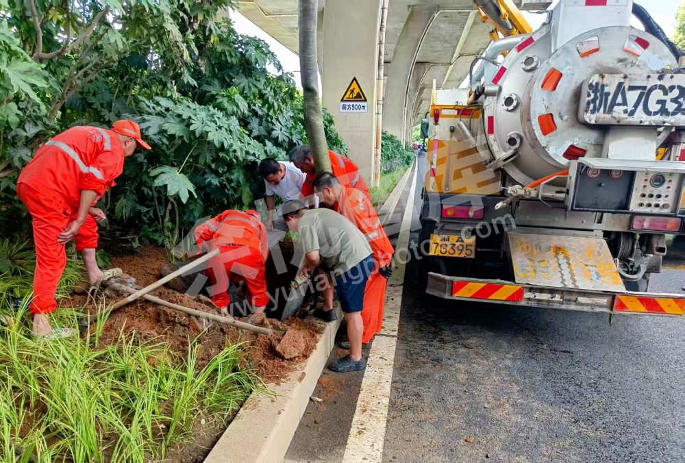 迎战台风“竹节草” 