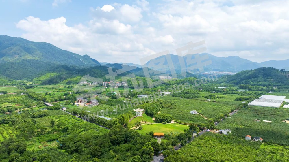 余杭鸬鸟蜜梨园区