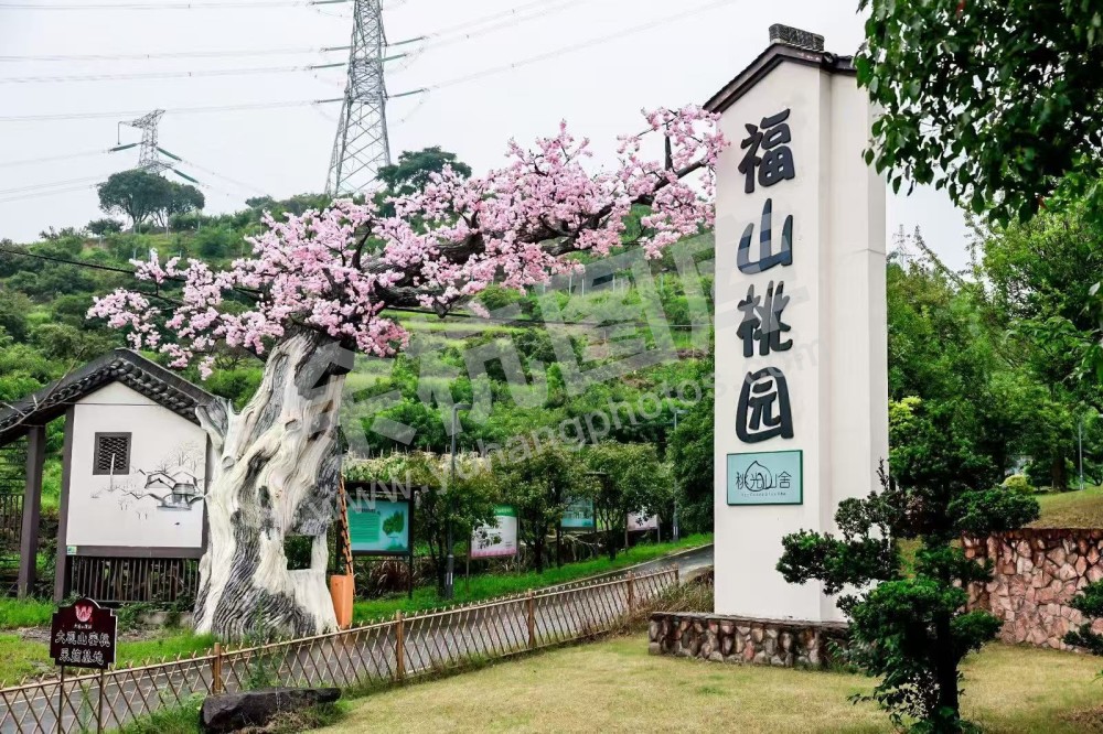 余杭鸬鸟蜜梨园区