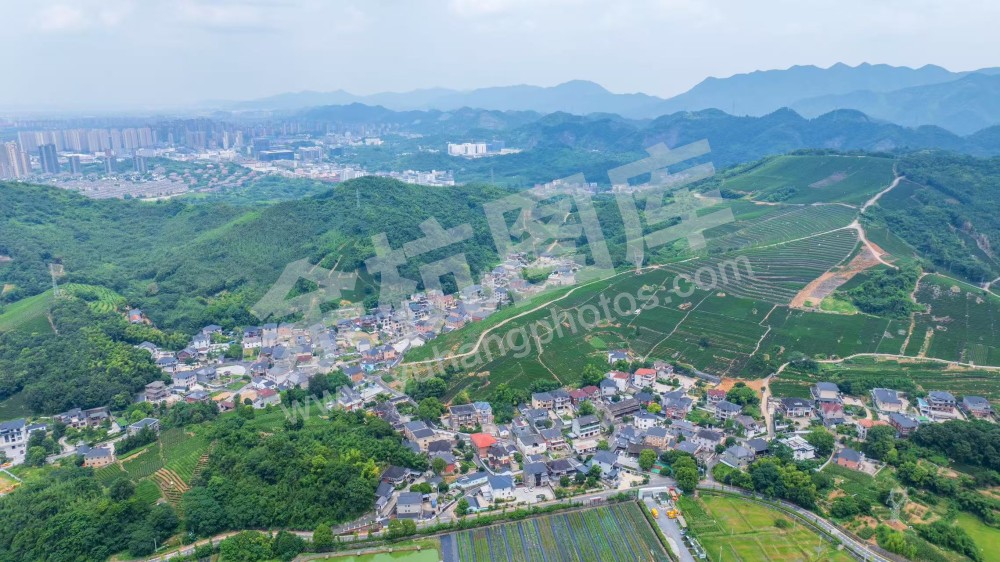 中泰茶山