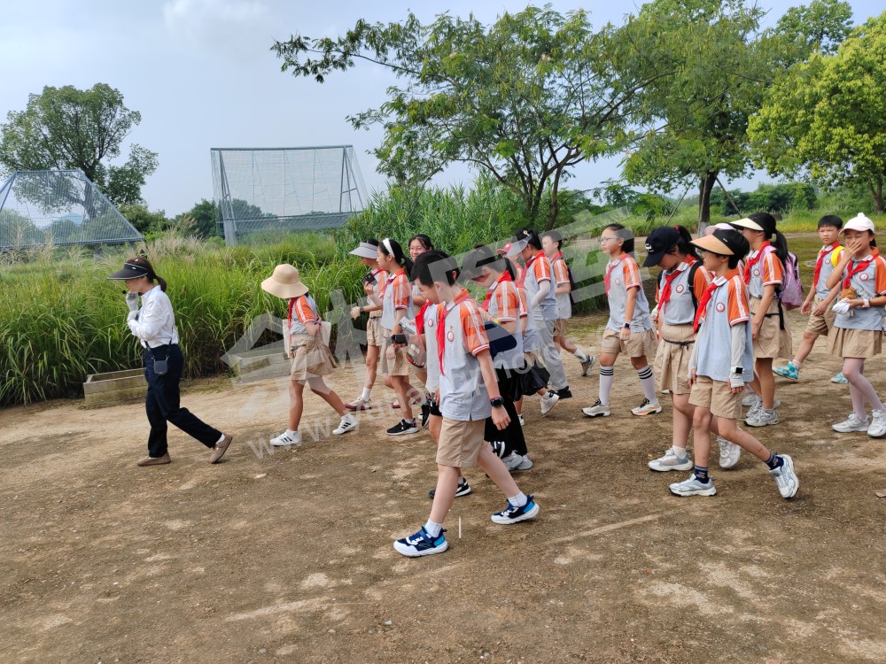 瓶窑一小在良渚遗址公园暑期实践活动