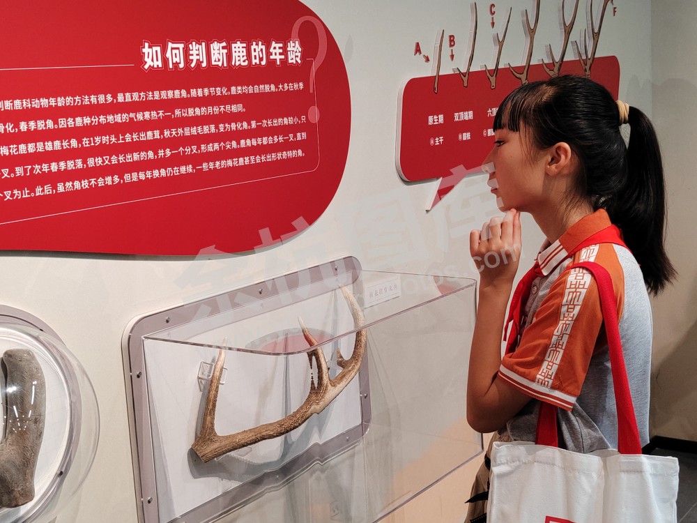 瓶窑一小在良渚遗址公园暑期实践活动