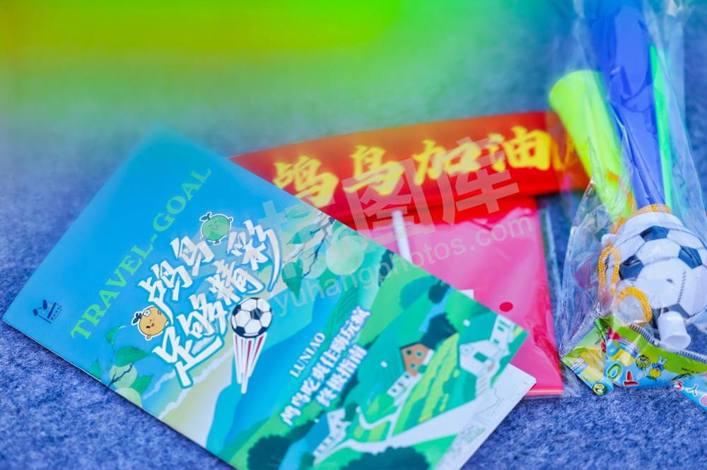 余杭首届“未来杯”足球赛（鸬鸟）