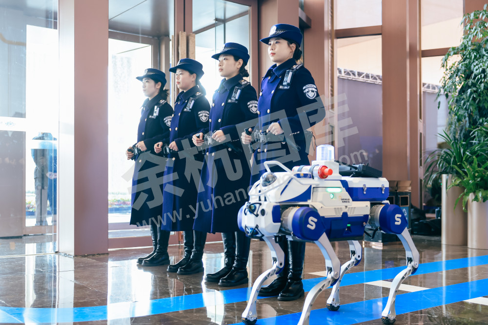 “攀高峰 向未来”余杭区经济高质量发展大会