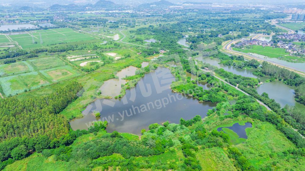 苕溪北湖草荡附近