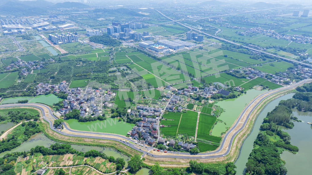 苕溪北湖草荡附近