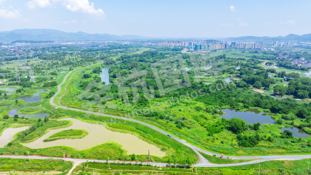 苕溪北湖草荡附近