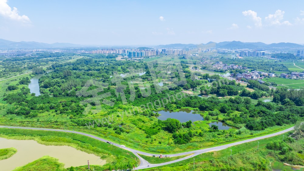 苕溪北湖草荡附近