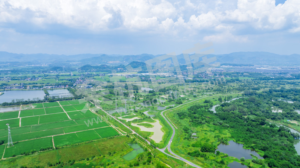 苕溪北湖草荡附近