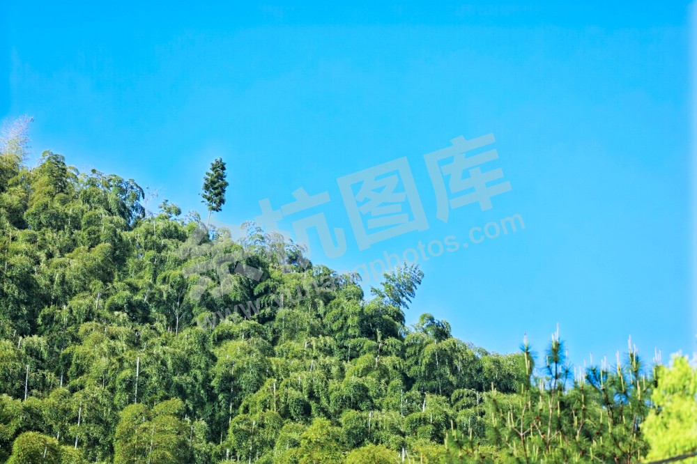 2025首届余杭区高峰速攀赛 (90)