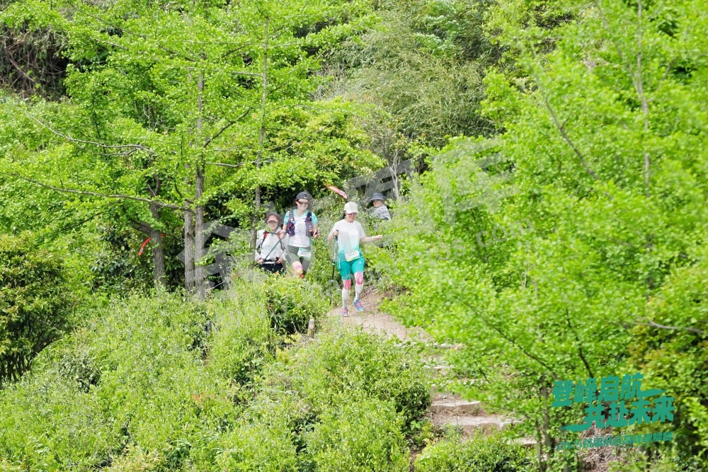 2025首届余杭区高峰速攀赛 (154)