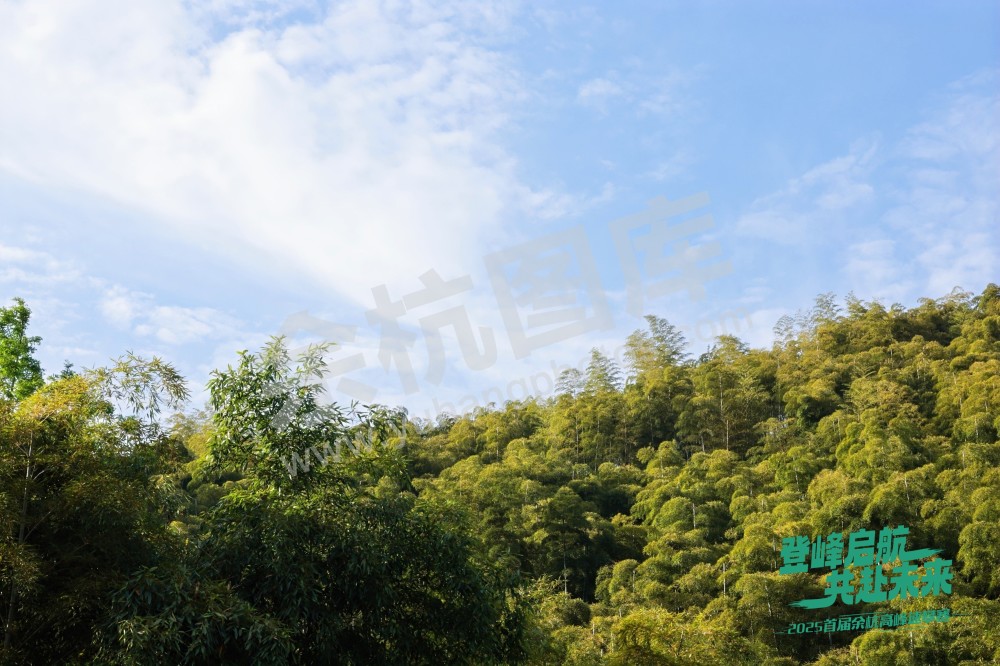 2025首届余杭区高峰速攀赛 (83)