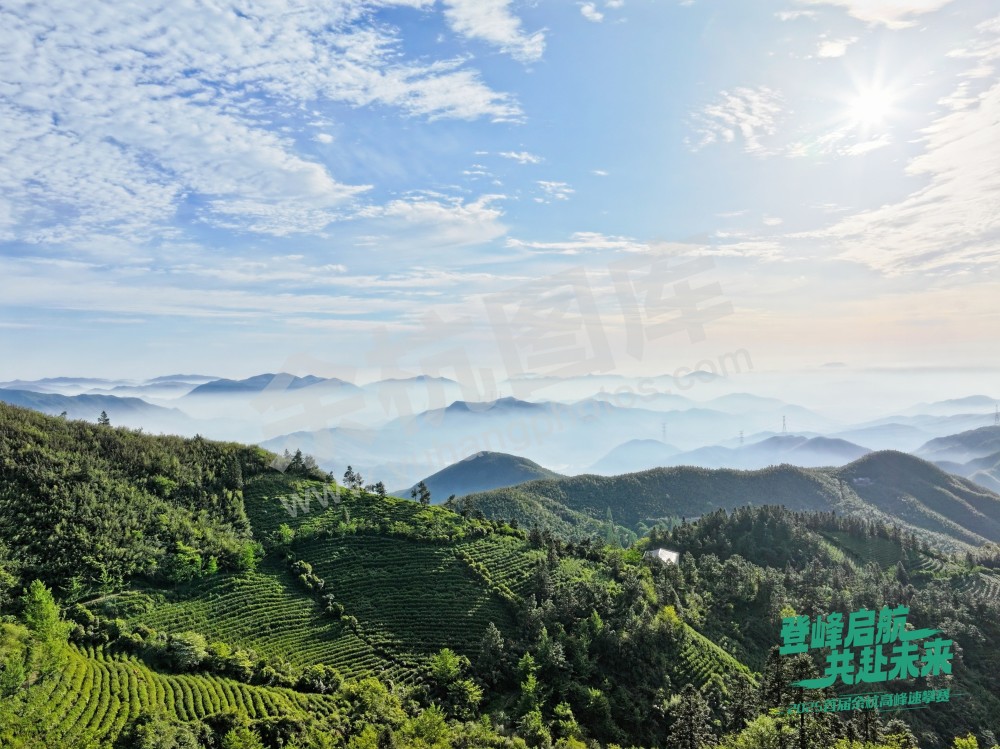 2025首届余杭区高峰速攀赛 (81)