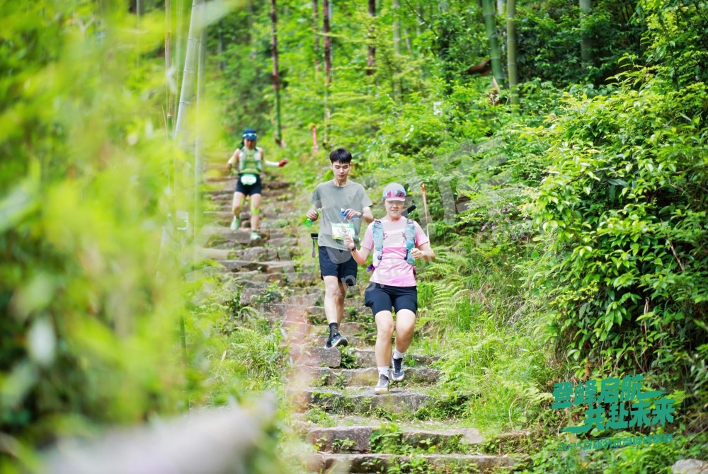 2025首届余杭区高峰速攀赛 (147)