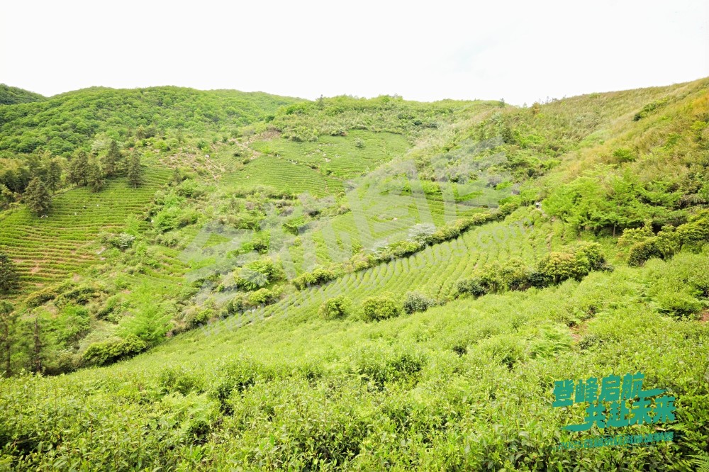 2025首届余杭区高峰速攀赛 (155)