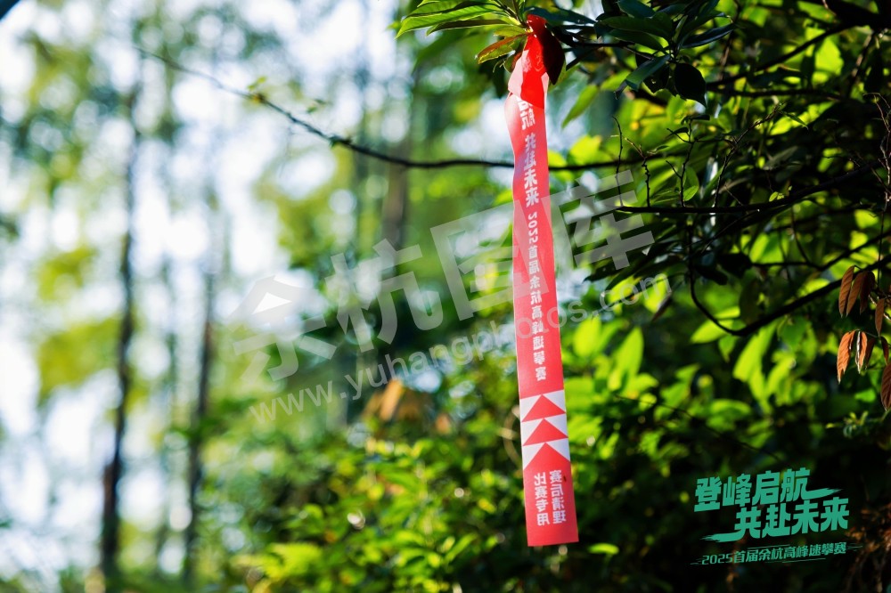 2025首届余杭区高峰速攀赛 (68)