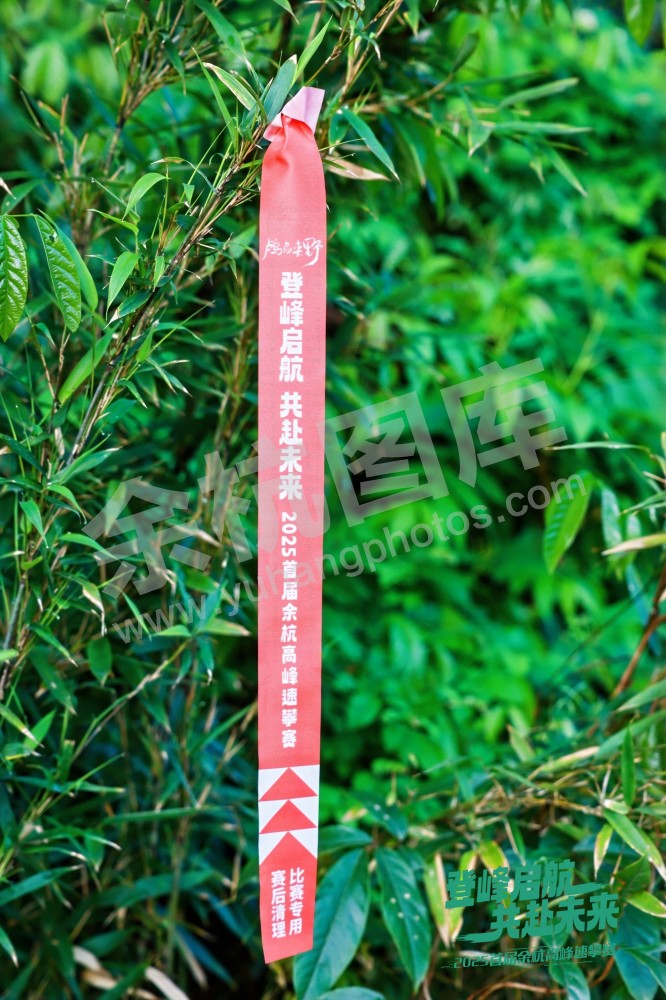 2025首届余杭区高峰速攀赛 (65)