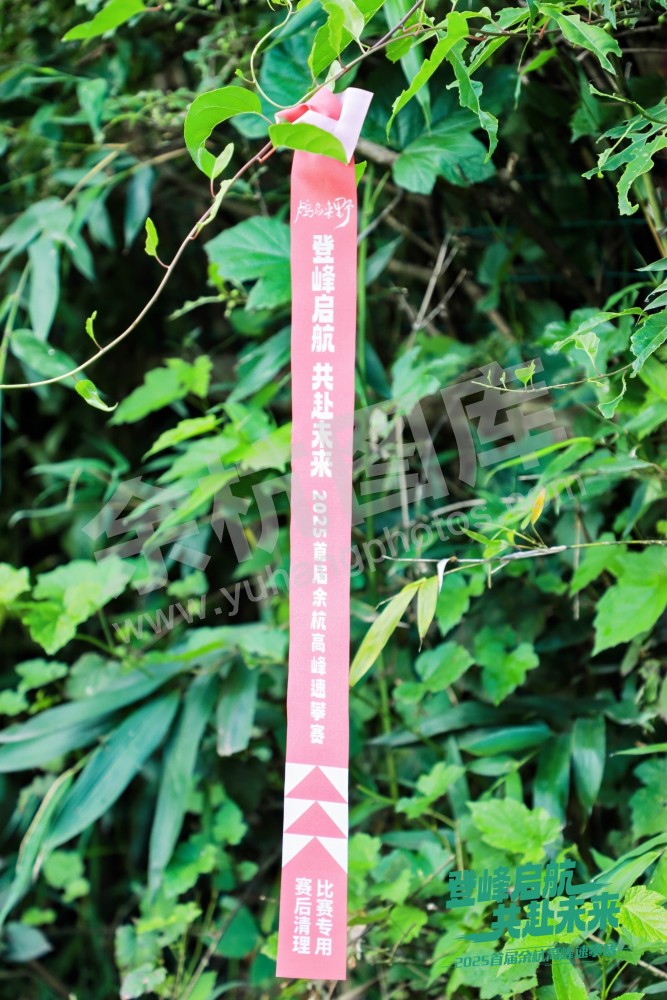 2025首届余杭区高峰速攀赛 (73)