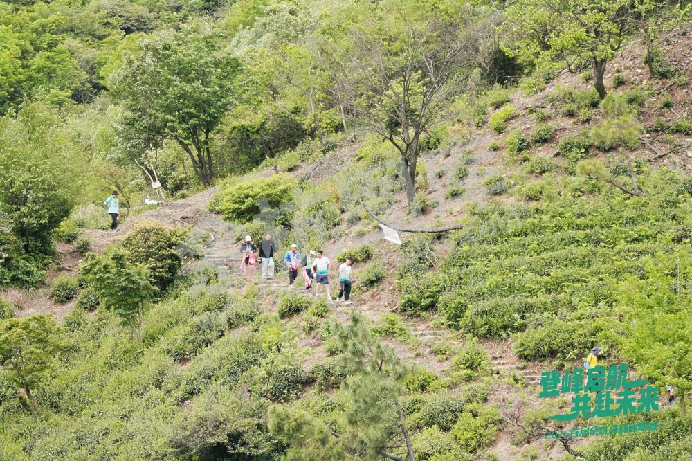 2025首届余杭区高峰速攀赛 (156)