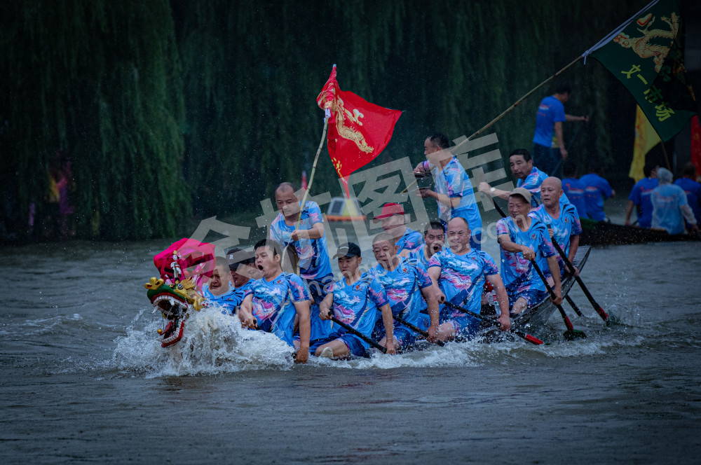 五常端午龙舟 (5)