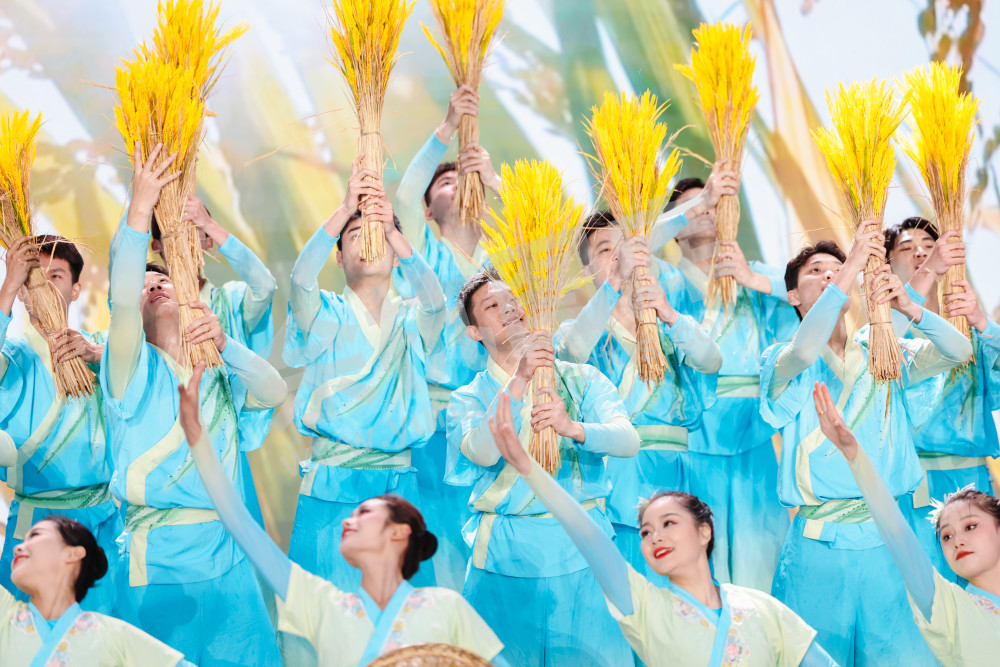 2025浙江丰收月活动