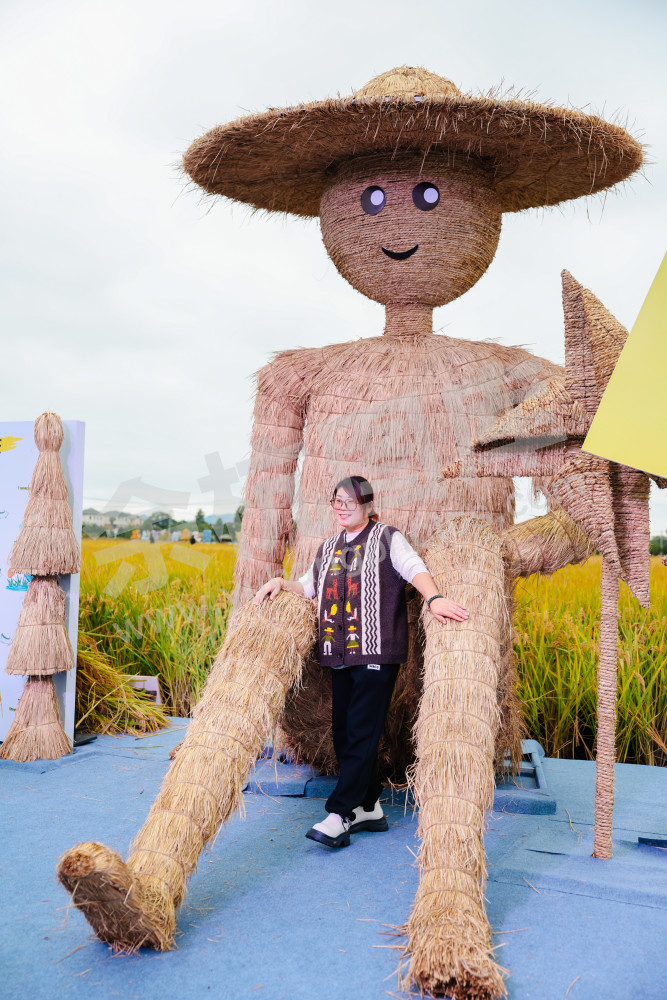 2025浙江丰收月活动