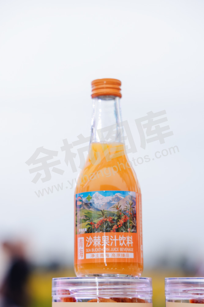 2025浙江丰收月活动