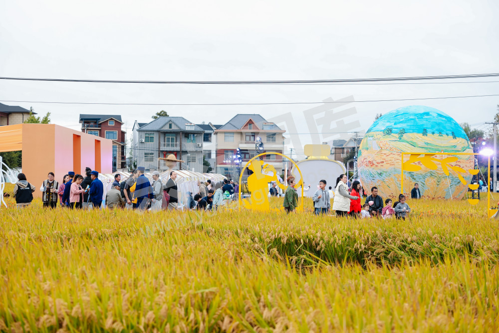 2025浙江丰收月活动