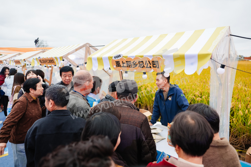 2025浙江丰收月活动