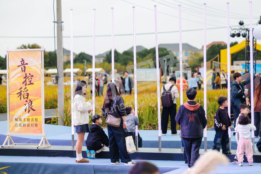 2025浙江丰收月活动