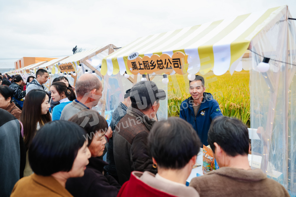 2025浙江丰收月活动