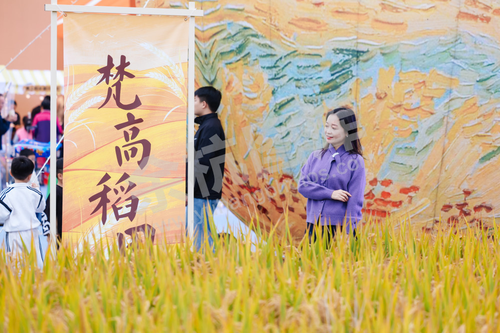 2025浙江丰收月活动