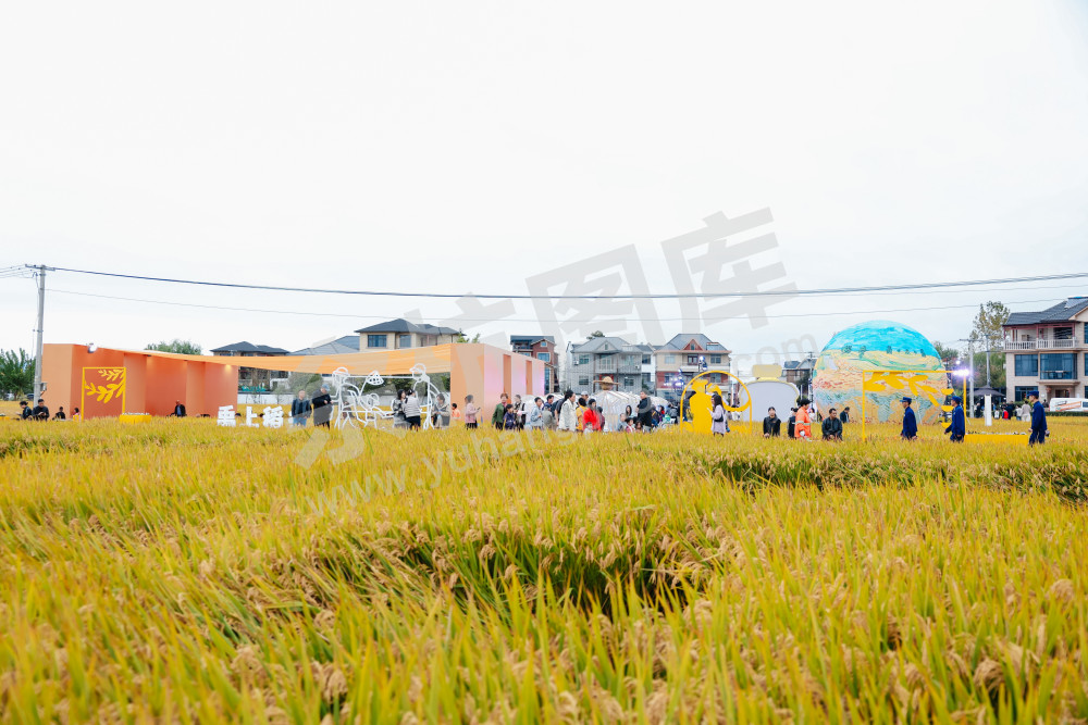 2025浙江丰收月活动