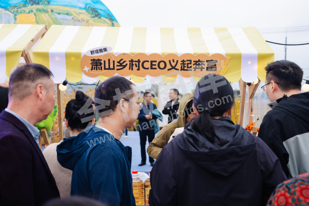 2025浙江丰收月活动