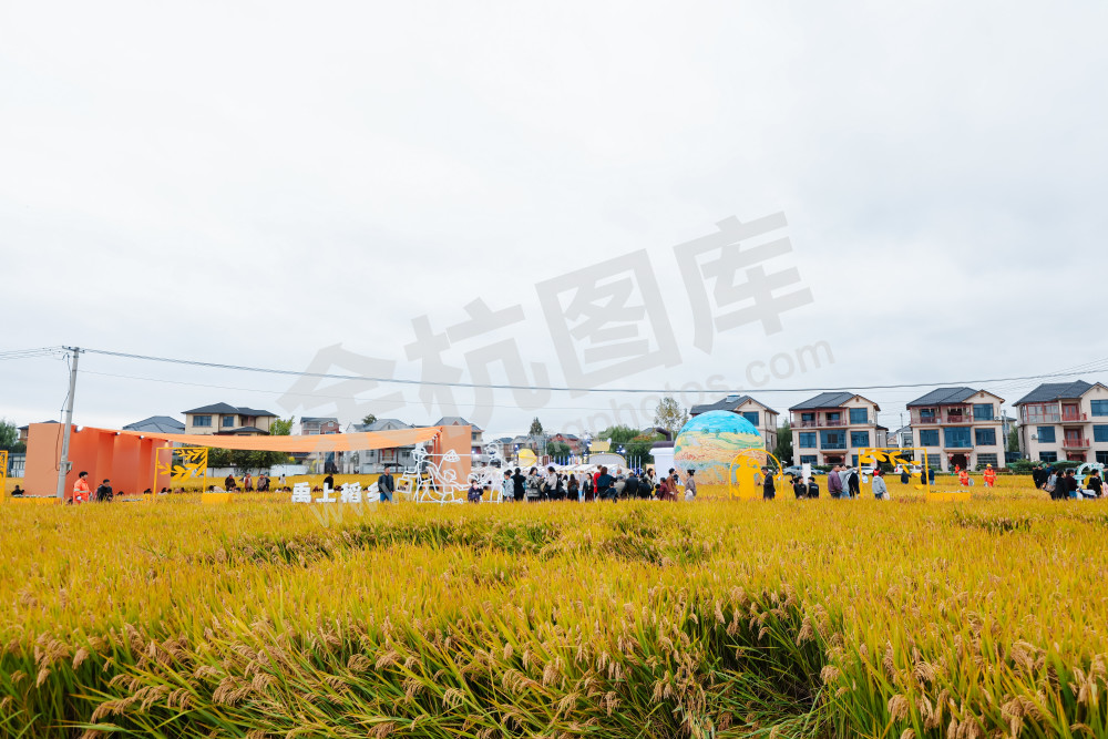 2025浙江丰收月活动