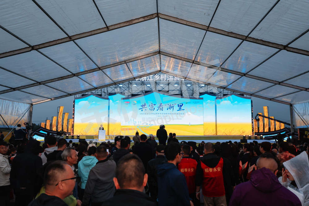 2025浙江丰收月活动