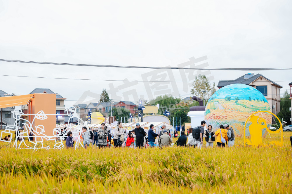 2025浙江丰收月活动