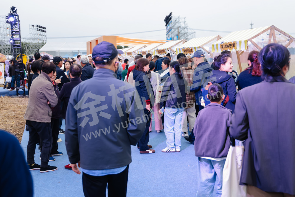 2025浙江丰收月活动