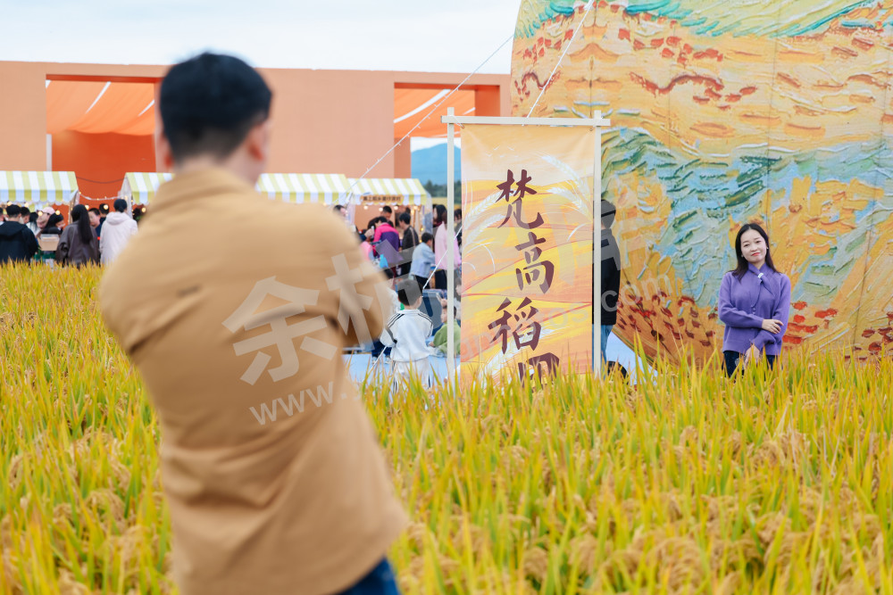 2025浙江丰收月活动