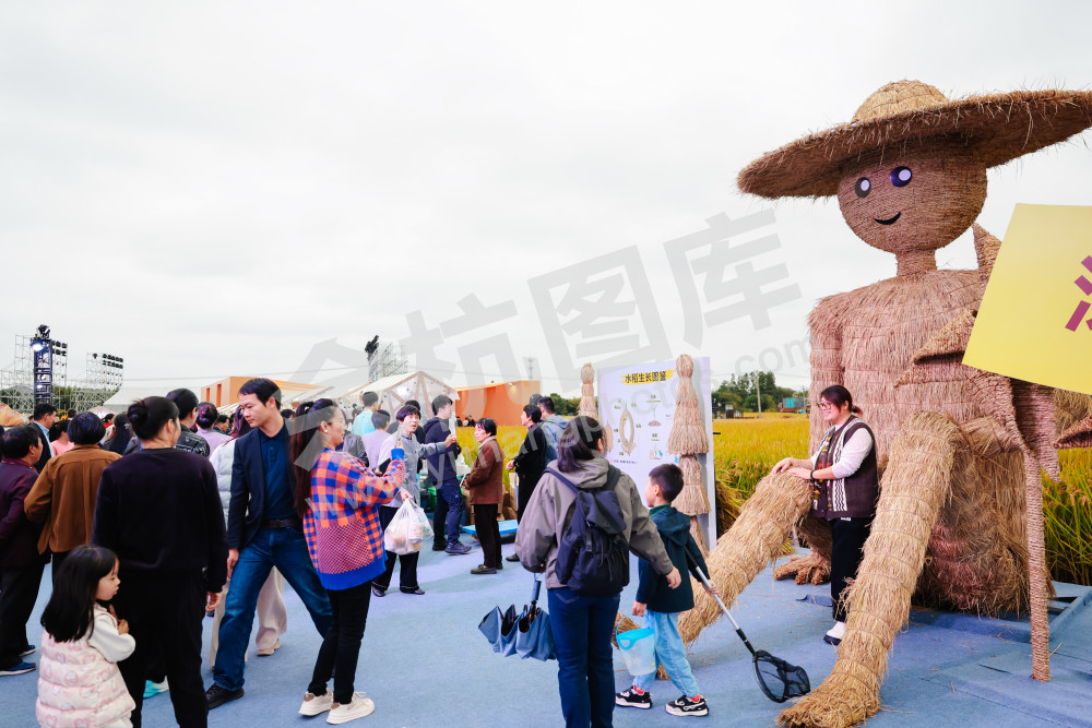 2025浙江丰收月活动